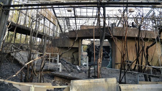 Feuer-Inferno im Krefelder Zoo