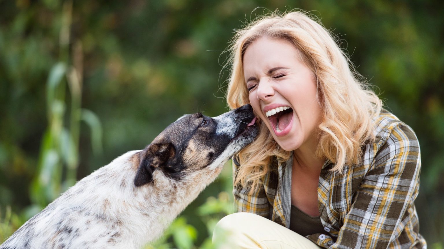 5 Gründe Darum leckt dein Hund dich ab! KUKKSI Star News, Beauty