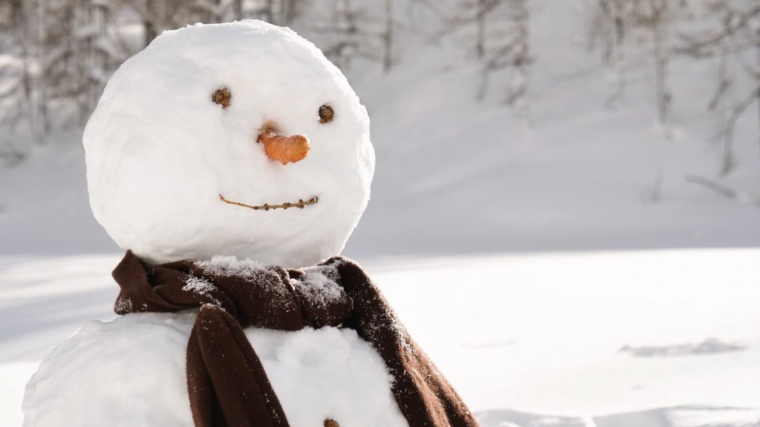 Winter kommt winter kommt flocken. Снеговик с еловой шишкой вместо носа. Трусы Снеговик с морковкой. Снеговик с камнем вместо носа. Снеговик с картошкой вместо носа.