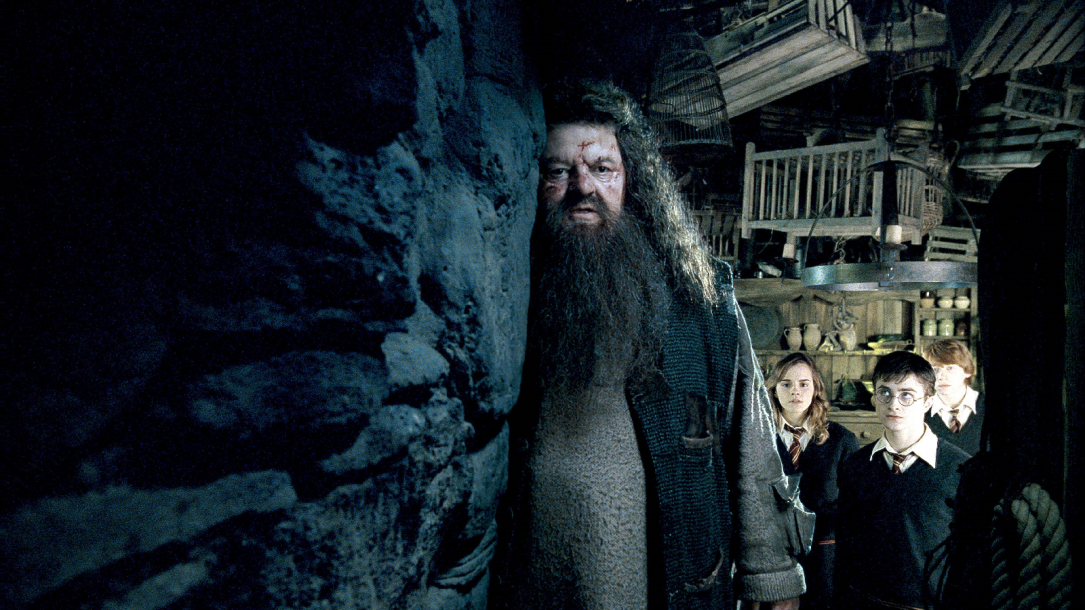 Harry Potter: Was wurde aus Robbie Coltrane alias Hagrid ...