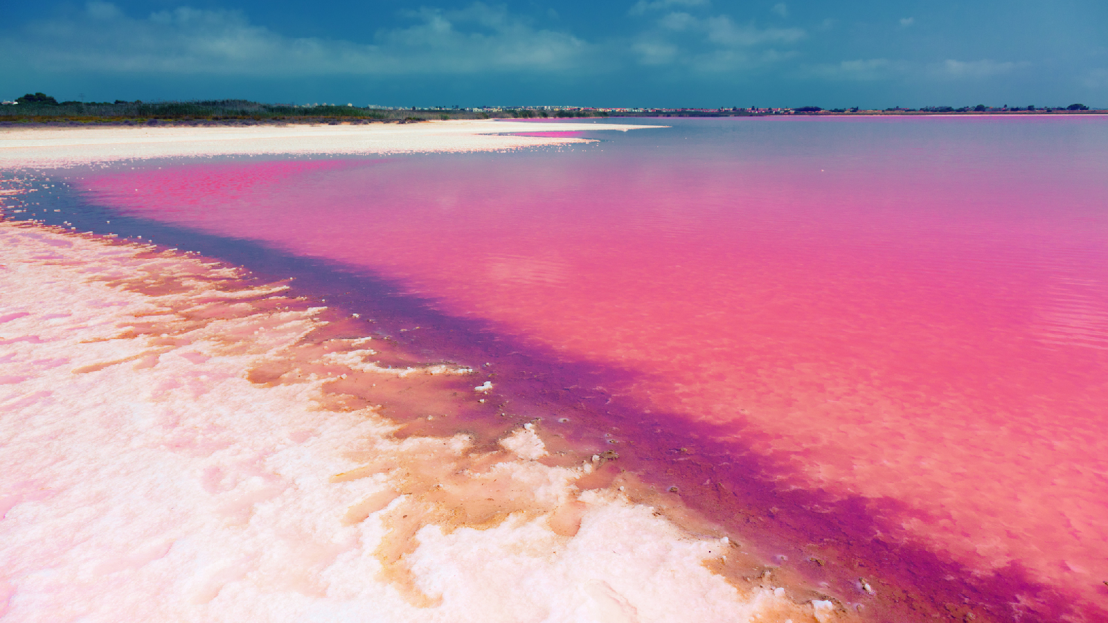 Deshalb sind diese Seen pink