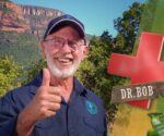 Dr. Bob im Dschungelcamp