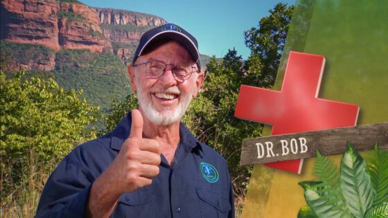 Dr. Bob im Dschungelcamp