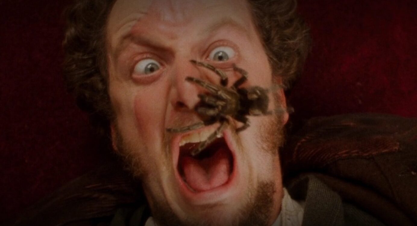 „Kevin – Allein zu Haus“: Ist die Spinne im Gesicht von Marv echt?